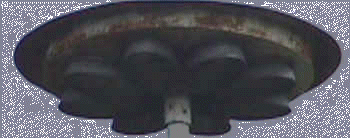 Foto by: K. Zalatnay 990401 - All rights reserved